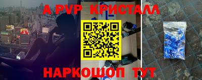 индика Гатчина