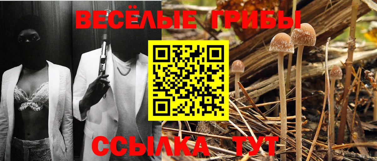 Псилоцибиновые грибы мухоморы  Вход с VPN  Берёзовский 